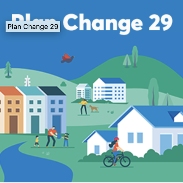 Plan Change 29